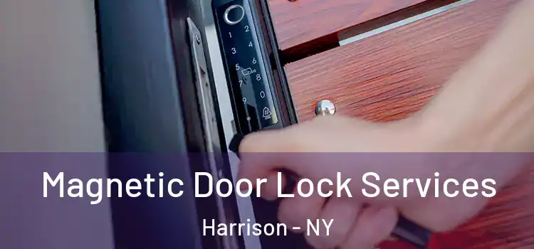 Magnetic Door Lock Services Harrison - NY