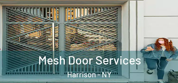 Mesh Door Services Harrison - NY